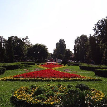 Statuia lui Costache Negri
