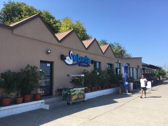 Lebada
