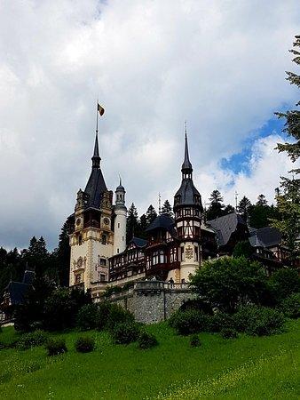 Casa cu farfurii