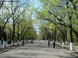Parcul Crâng